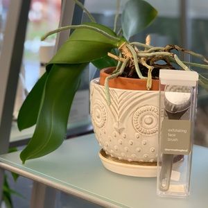 Dermalogica exfoliating face brush